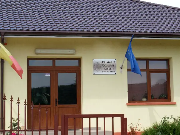 Placuta gravata institutie primarie bond argintiu personalizat nume functie simulare 4